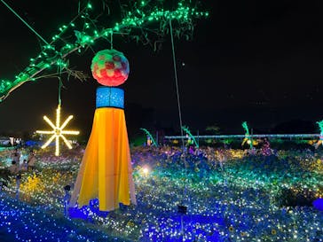 せんだい農業園芸センター　みどりの杜に投稿された画像（2024/8/3）