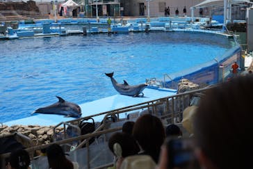 名古屋港水族館に投稿された画像（2024/8/3）