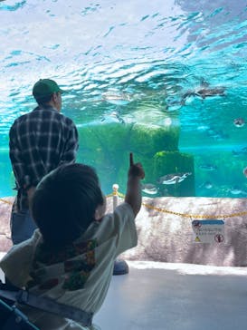 おやつタウンに投稿された画像（2024/8/3）