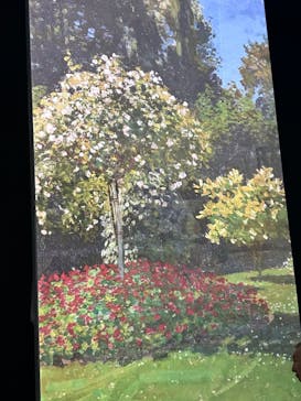 モネ＆フレンズ・アライブに投稿された画像（2024/8/3）