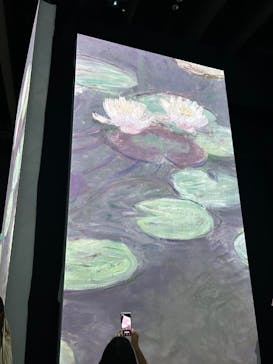 モネ＆フレンズ・アライブに投稿された画像（2024/8/3）