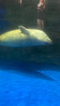 アソビュー！ポイントに投稿された画像（2024/8/3）