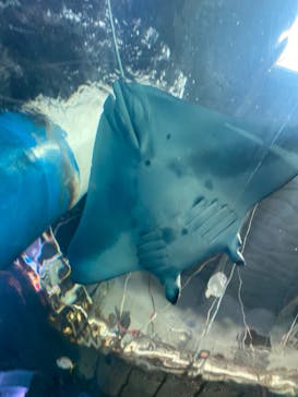 アソビュー！ポイントに投稿された画像（2024/8/3）