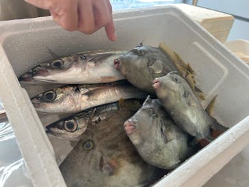 HimonoDiningかまなりに投稿された画像（2024/8/3）