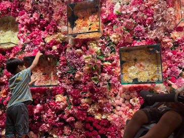 NARA KINGYO MUSEUMに投稿された画像（2024/8/3）