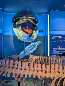 名古屋港水族館に投稿された画像（2024/8/3）