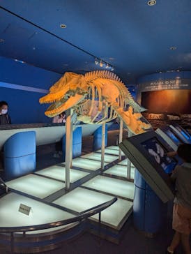 名古屋港水族館に投稿された画像（2024/8/3）