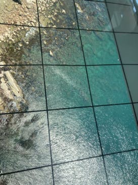 徳島県立 渦の道に投稿された画像（2024/8/3）