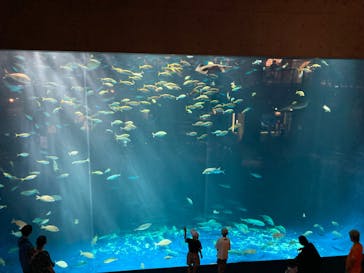 四国水族館に投稿された画像（2024/8/3）