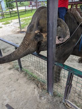 岩手サファリパークに投稿された画像（2024/8/3）