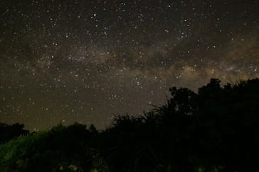 石垣島 ADVENTURE PiPi（イシガキジマアドベンチャーピピ）に投稿された画像（2024/8/3）