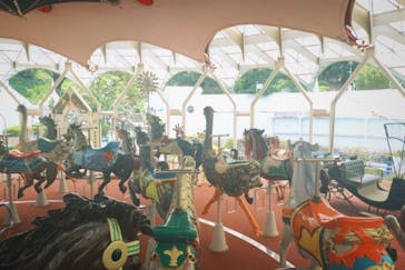 西武園ゆうえんちに投稿された画像（2024/8/4）