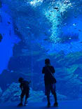 仙台うみの杜水族館に投稿された画像（2024/8/4）