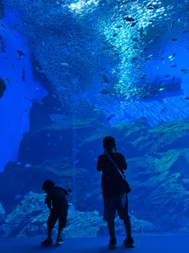 仙台うみの杜水族館に投稿された画像（2024/8/4）