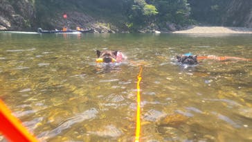 くまの・川遊び部に投稿された画像（2024/8/4）