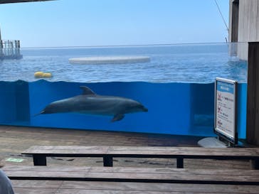 上越市立水族博物館 うみがたりに投稿された画像（2024/8/4）