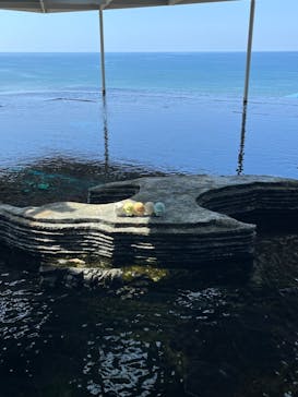 上越市立水族博物館 うみがたりに投稿された画像（2024/8/4）