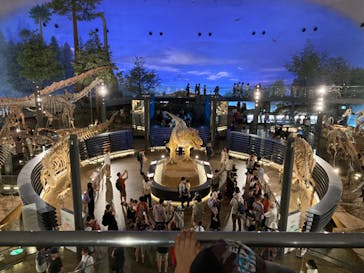 福井県立恐竜博物館に投稿された画像（2024/8/4）