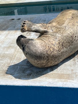 南知多ビーチランド＆南知多おもちゃ王国に投稿された画像（2024/8/4）