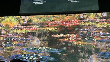 モネ＆フレンズ・アライブに投稿された画像（2024/8/4）