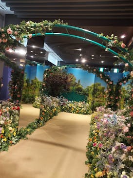 モネ＆フレンズ・アライブに投稿された画像（2024/8/4）