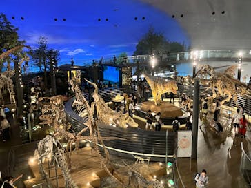 福井県立恐竜博物館に投稿された画像（2024/8/4）