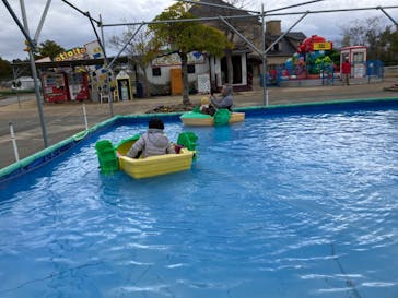 淡路ファームパーク イングランドの丘に投稿された画像（2024/8/4）