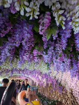 東京サマーランドに投稿された画像（2024/8/4）