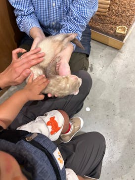 Moff animal cafe MARKIS 福岡ももち店に投稿された画像（2024/8/4）