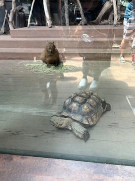 カワスイ 川崎⽔族館に投稿された画像（2024/8/4）