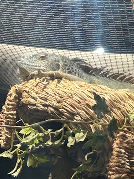 カワスイ 川崎⽔族館に投稿された画像（2024/8/4）