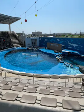 仙台うみの杜水族館に投稿された画像（2024/8/4）