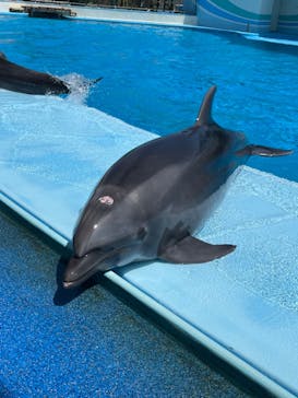 南知多ビーチランド＆南知多おもちゃ王国に投稿された画像（2024/8/4）