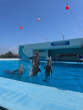 南知多ビーチランド＆南知多おもちゃ王国に投稿された画像（2024/8/4）