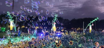 せんだい農業園芸センター　みどりの杜に投稿された画像（2024/8/4）