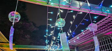 せんだい農業園芸センター　みどりの杜に投稿された画像（2024/8/4）