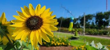 せんだい農業園芸センター　みどりの杜に投稿された画像（2024/8/4）