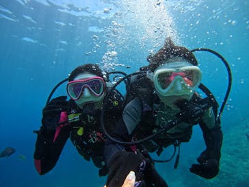 沖縄マリンサービス碧に投稿された画像（2024/8/4）