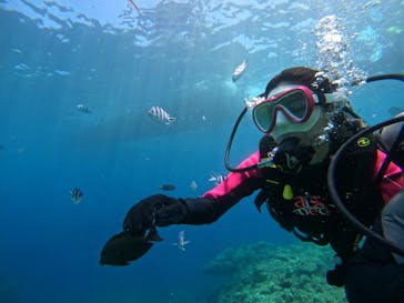 沖縄マリンサービス碧に投稿された画像（2024/8/4）