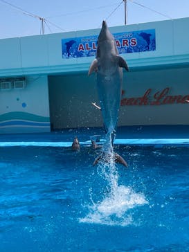 南知多ビーチランド＆南知多おもちゃ王国に投稿された画像（2024/8/4）