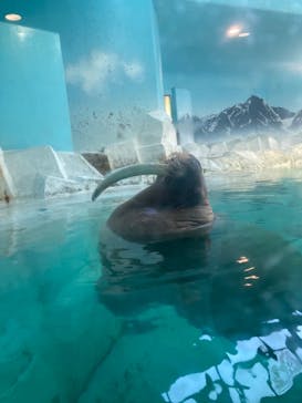 南知多ビーチランド＆南知多おもちゃ王国に投稿された画像（2024/8/4）