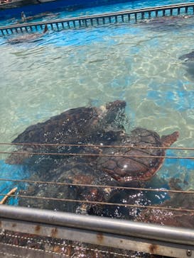 南知多ビーチランド＆南知多おもちゃ王国に投稿された画像（2024/8/4）