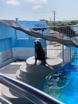 南知多ビーチランド＆南知多おもちゃ王国に投稿された画像（2024/8/4）