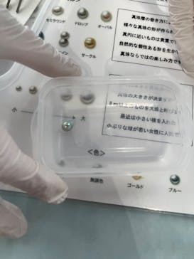 アクアワールド茨城県大洗水族館に投稿された画像（2024/8/4）