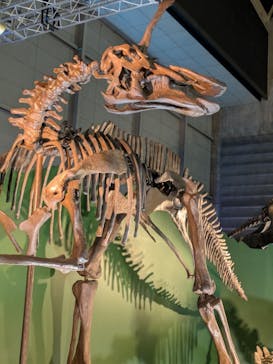 巨大恐竜展2024に投稿された画像（2024/8/4）