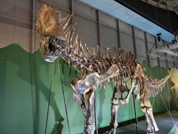 巨大恐竜展2024に投稿された画像（2024/8/4）