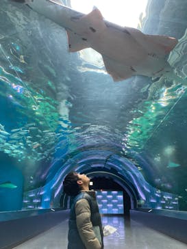 マクセル アクアパーク品川に投稿された画像（2024/8/4）