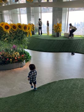 サンシャイン60展望台に投稿された画像（2024/8/4）