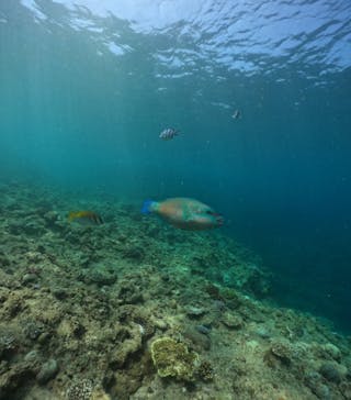 武藤潜水に投稿された画像（2024/8/4）