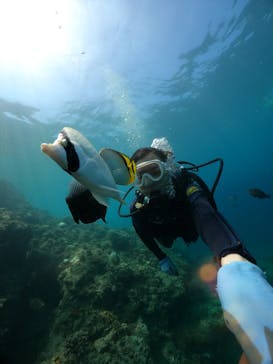 武藤潜水に投稿された画像（2024/8/4）